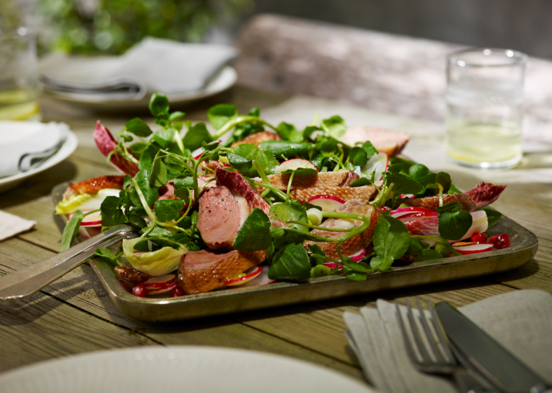 Salade de Canard, chicorée et grenade Maille